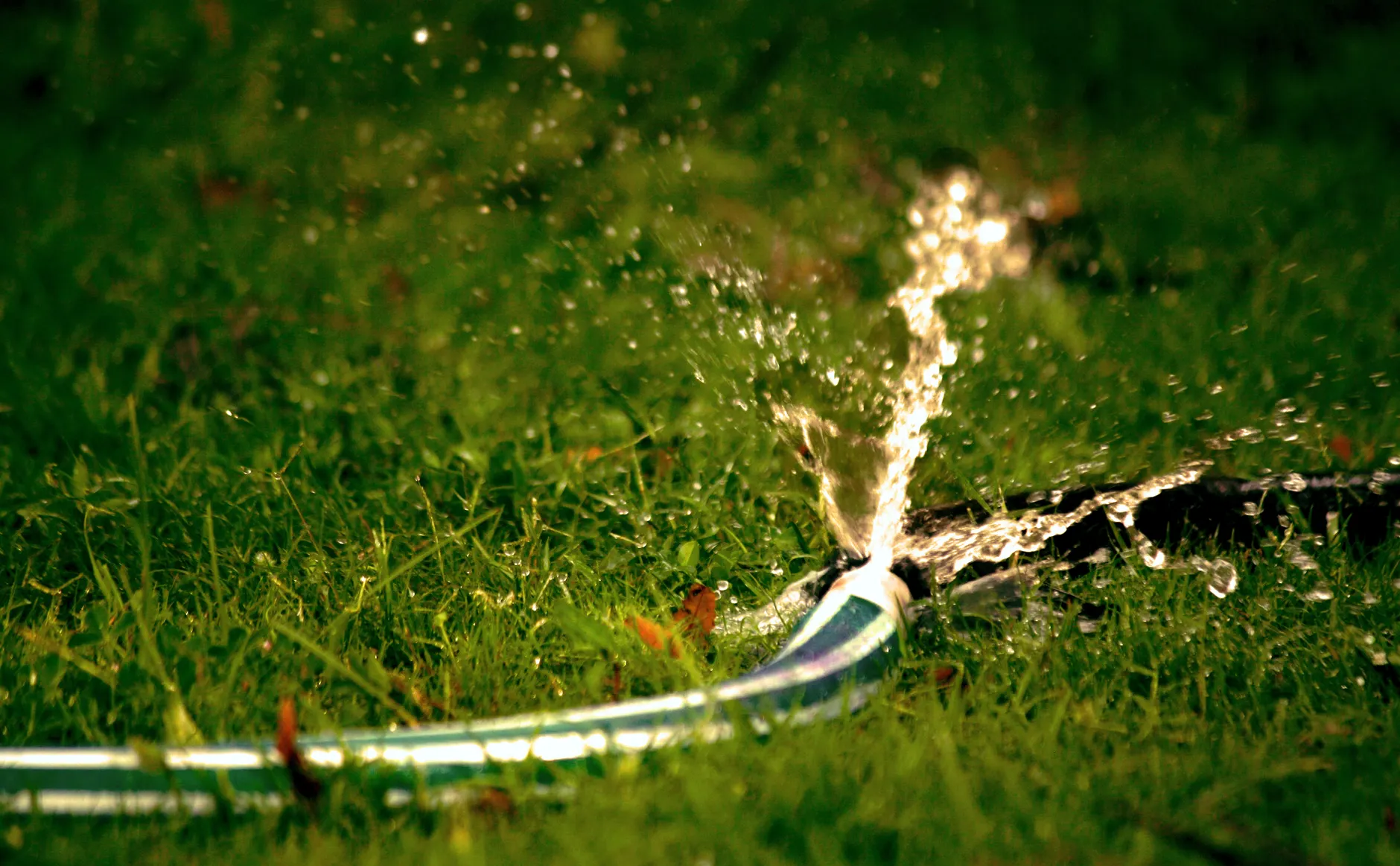 A Supply Line Split — or the Water Is Gone